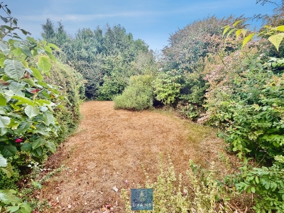 Picture 13